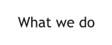 What we do
