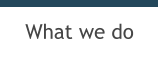 What we do